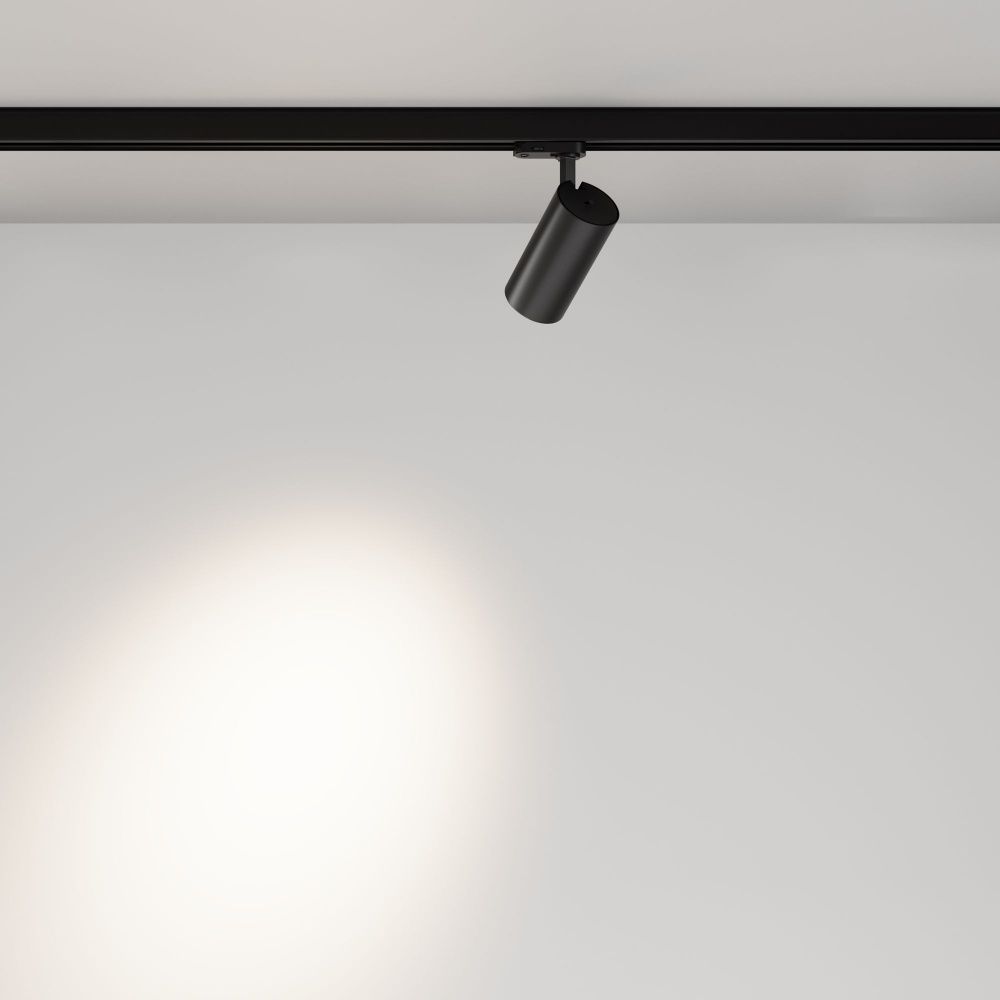 Трековый светильник Maytoni TR197-3-20WCCT-M-B