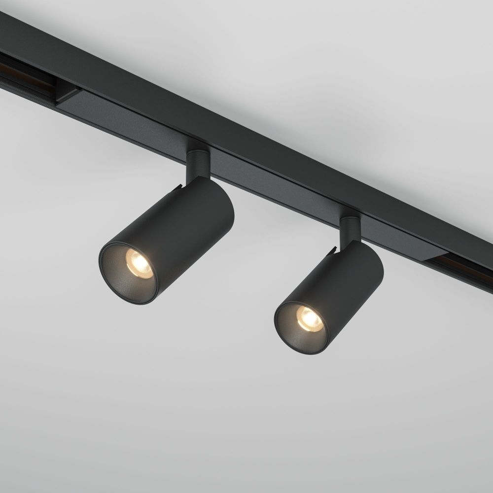 Трековый светильник Maytoni TR176-1-2X3WTW-M-B