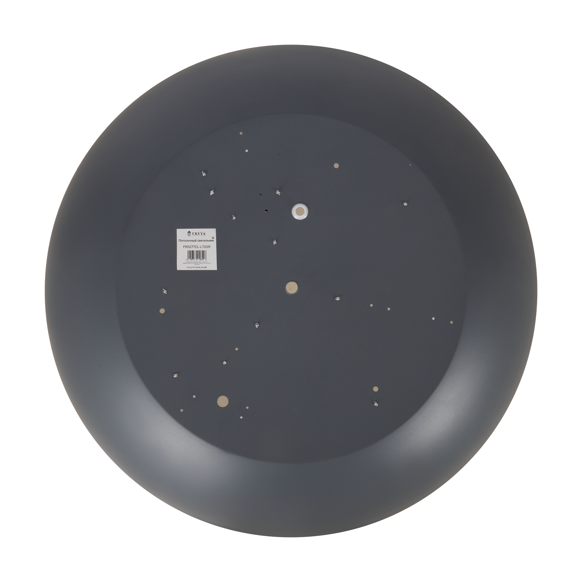 Потолочный светильник Freya FR5277CL-L72GR