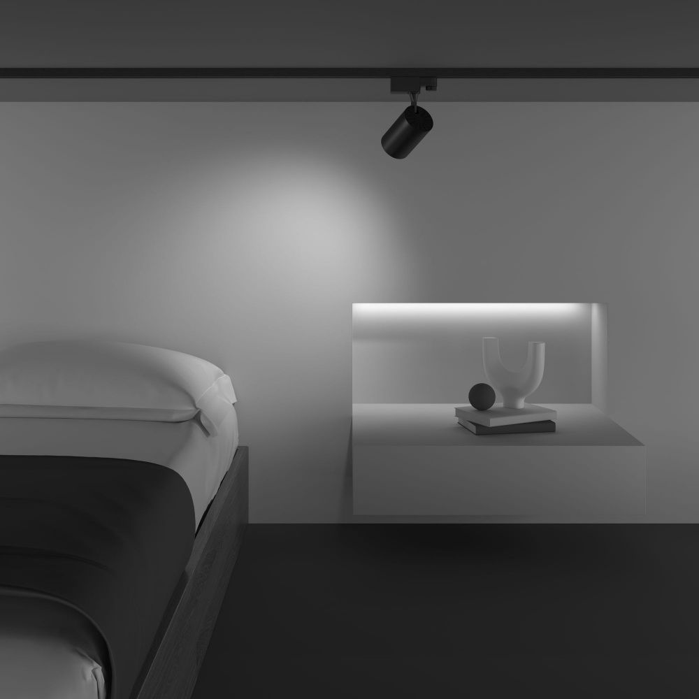 Трековый светильник Maytoni TR029-3-10W3K-W-B