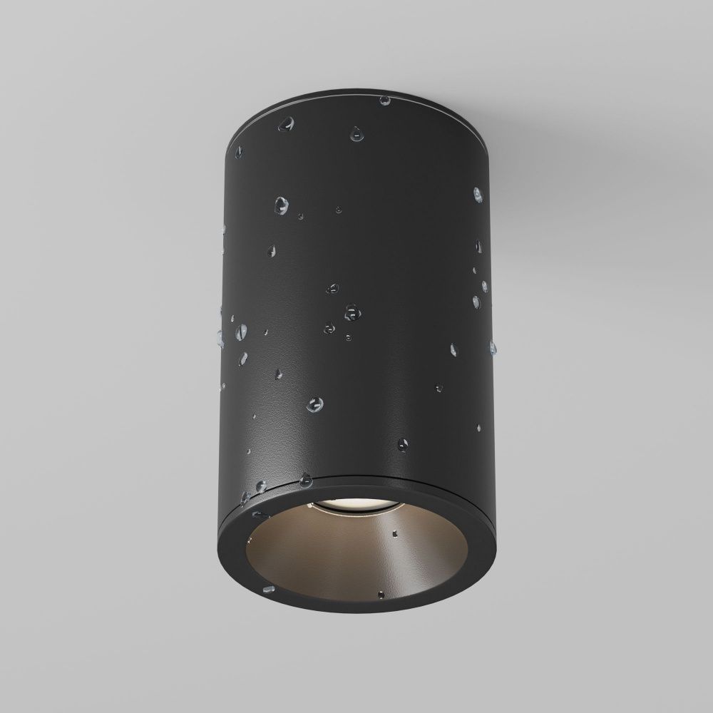 Потолочный светильник Maytoni C029CL-01-S-B