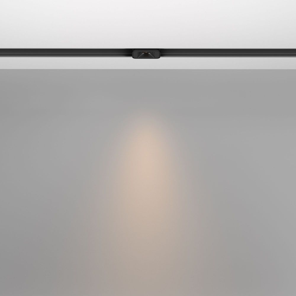 Трековый светильник Maytoni TR100-2-2W3K-S-B