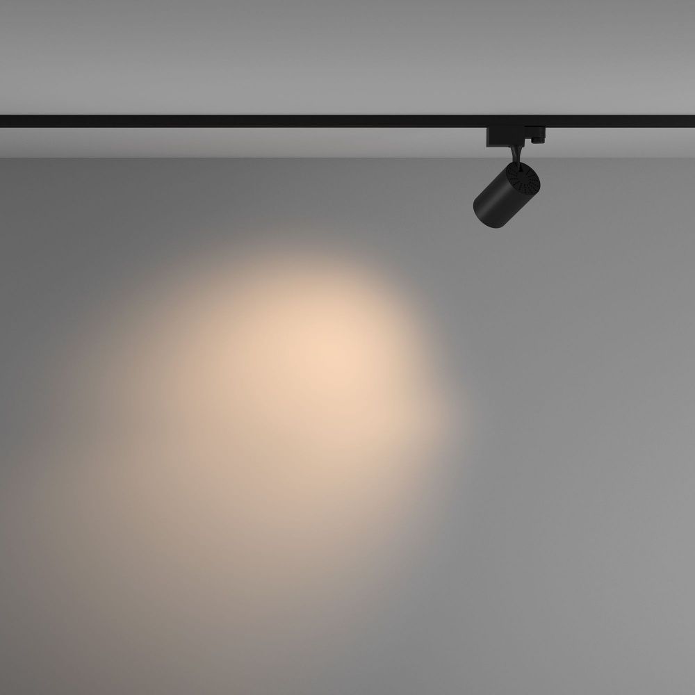 Трековый светильник Maytoni TR029-3-10W3K-M-B
