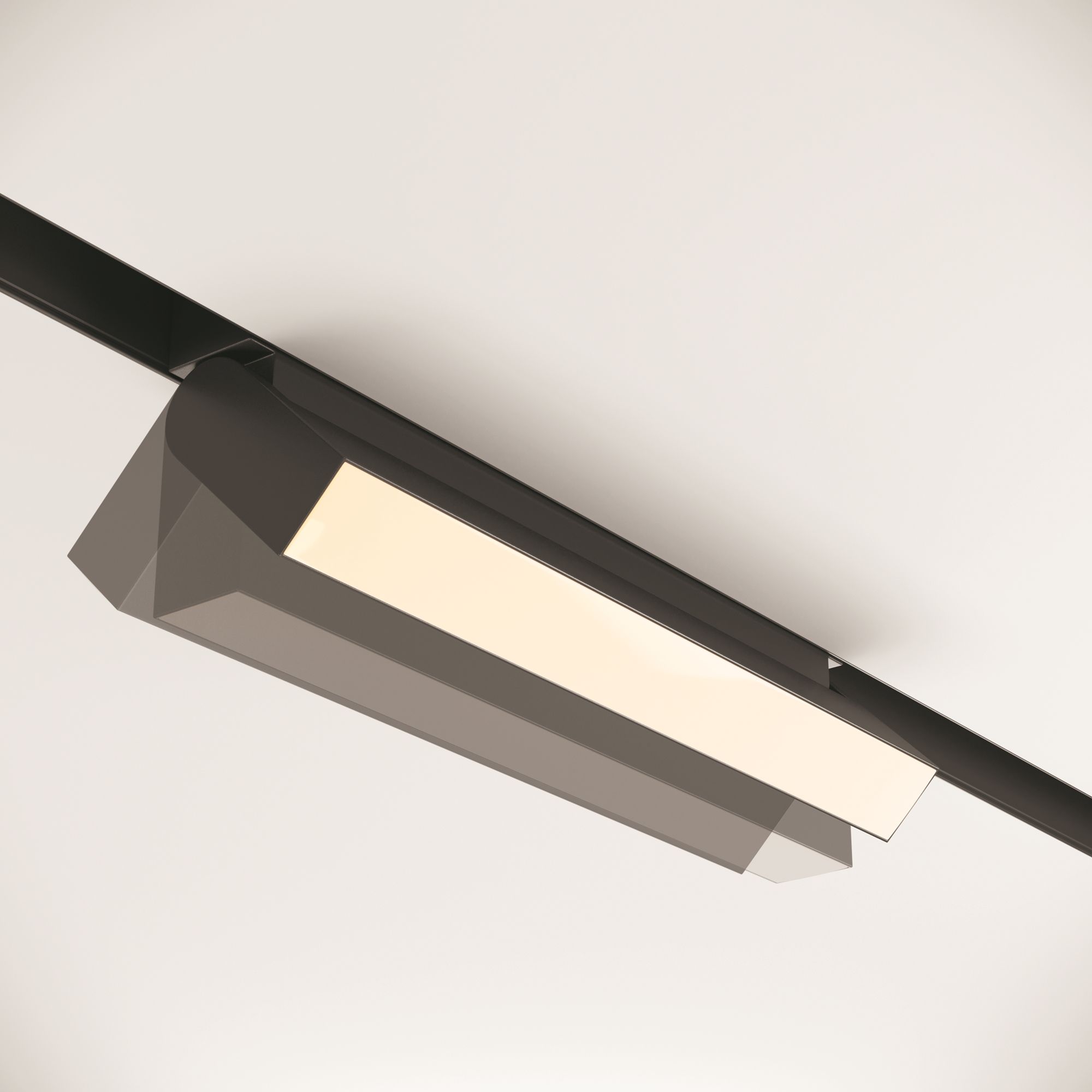 Трековый светильник Maytoni TR013-2-20W3K-B