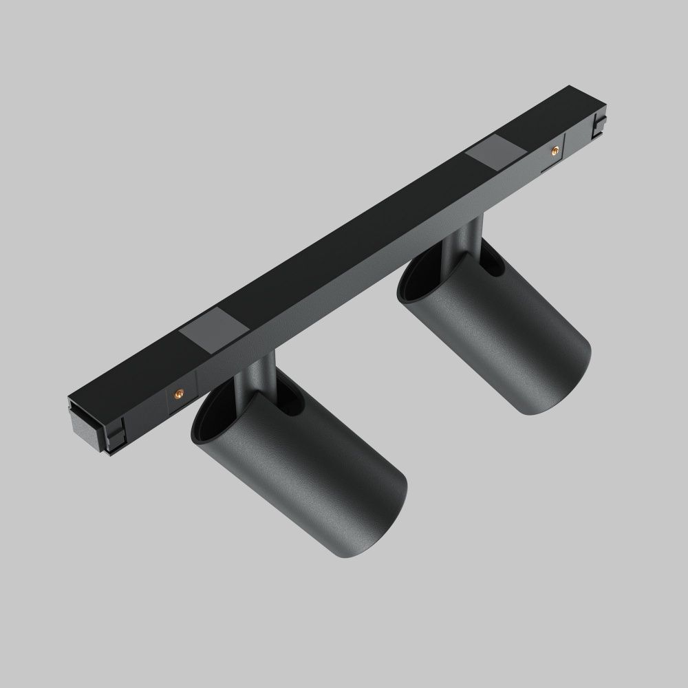 Трековый светильник Maytoni TR176-1-2X5WTW-M-B