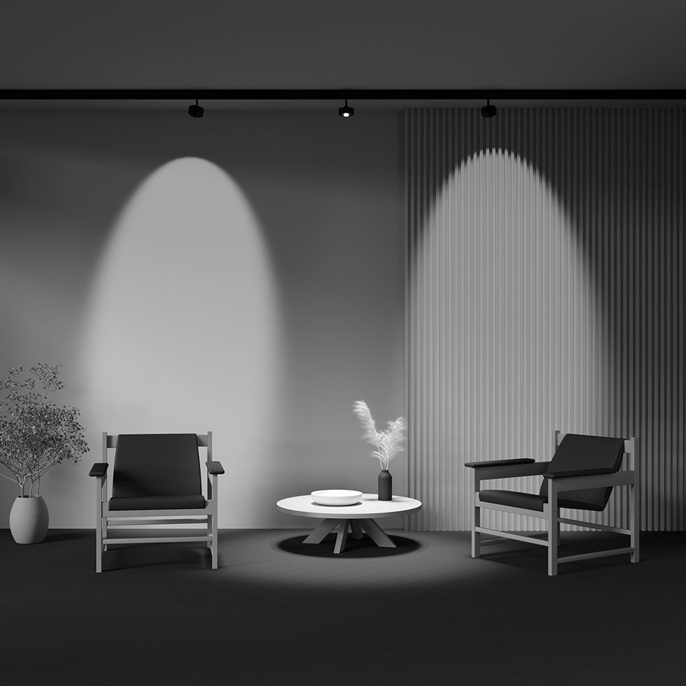 Трековый светильник Maytoni TR217-4-15WTW-DD-B
