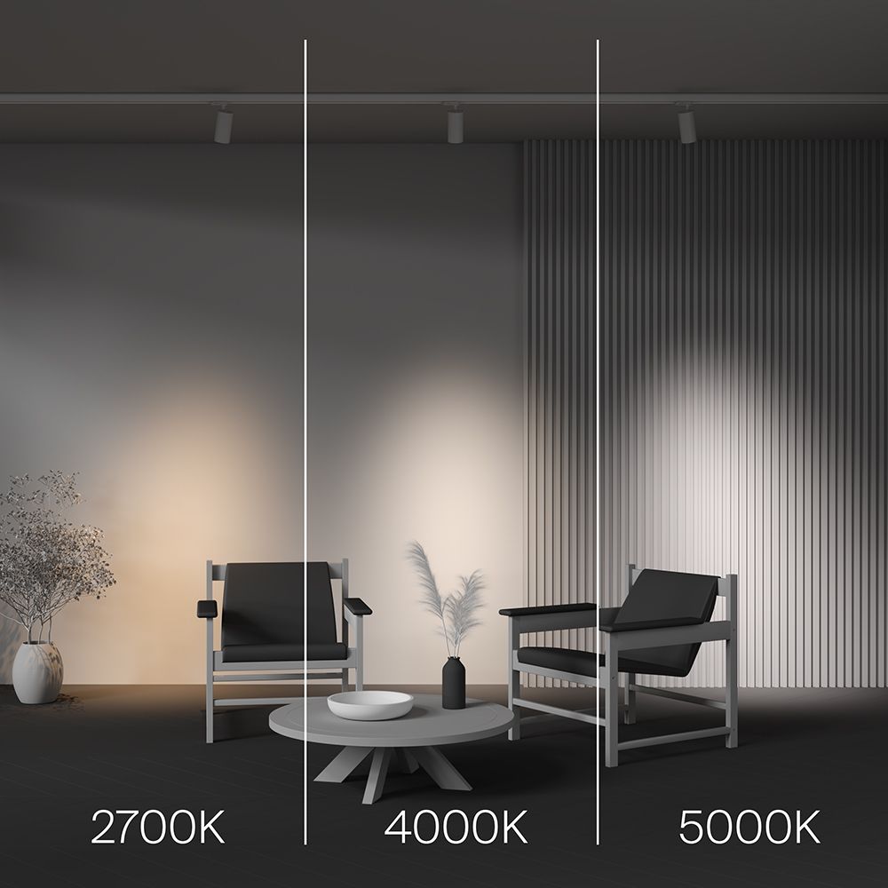 Трековый светильник Maytoni TR197-3-20WCCT-M-W