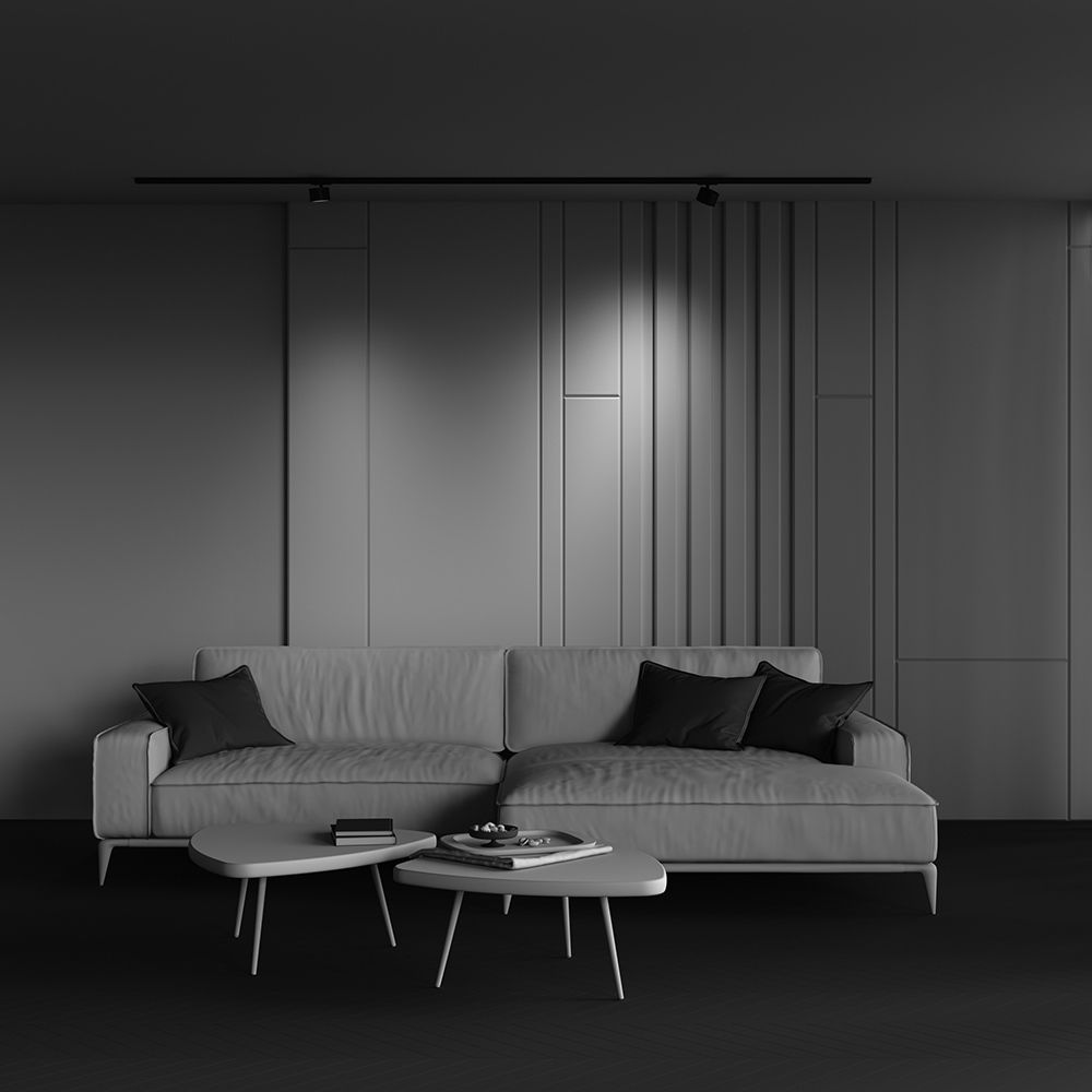 Трековый светильник Maytoni TR225-1-GX53-B