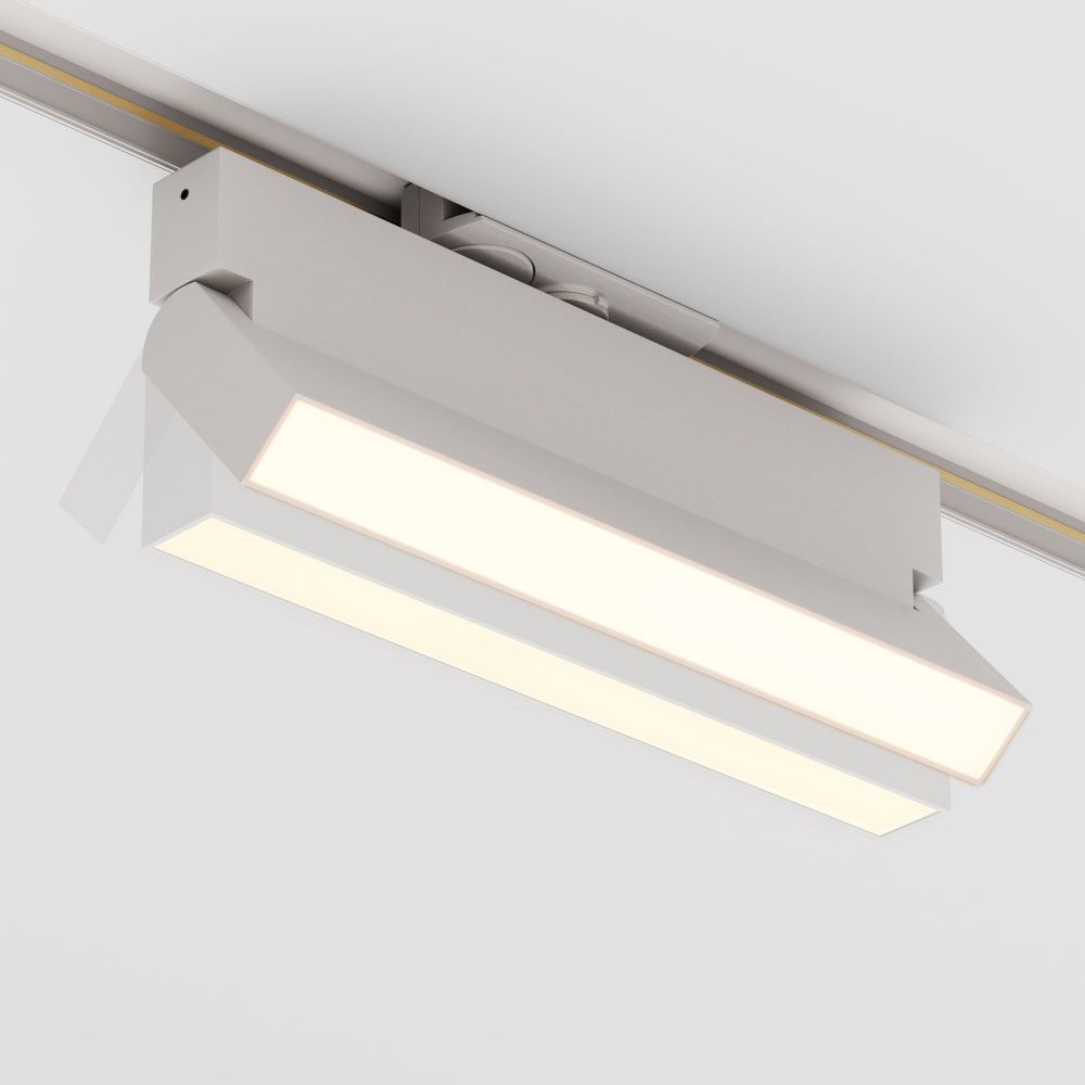 Трековый светильник Maytoni TR223-1-12WCCT-W-W