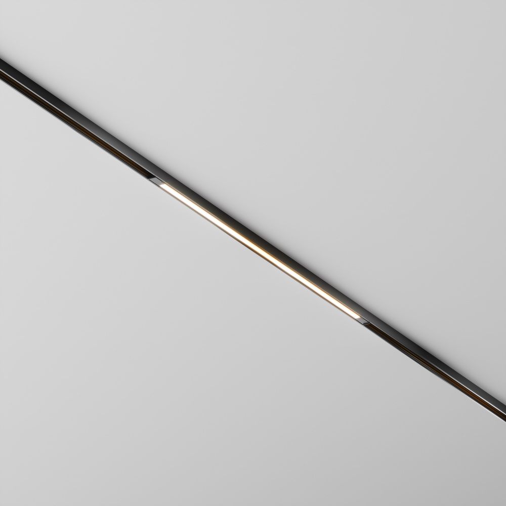Трековый светильник Maytoni TR240-2-12W3K-B