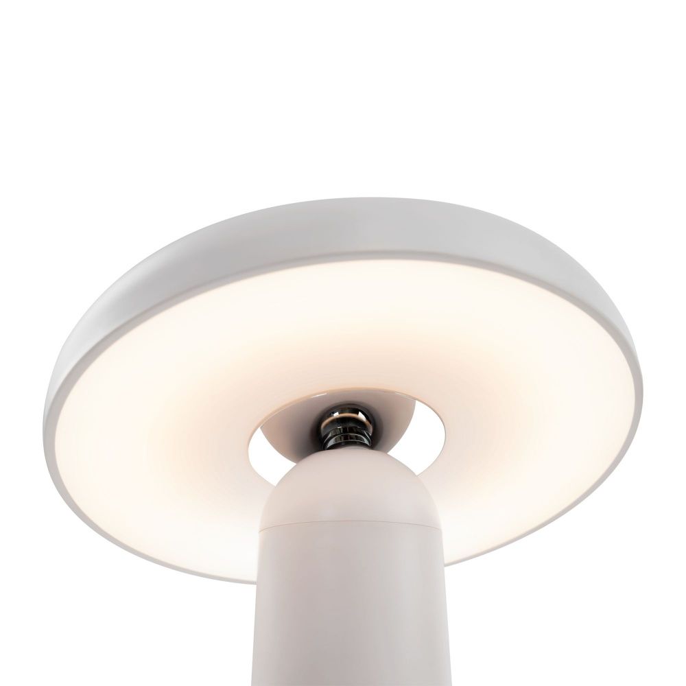 Аккумуляторный светильник Freya FR6109TL-L4W