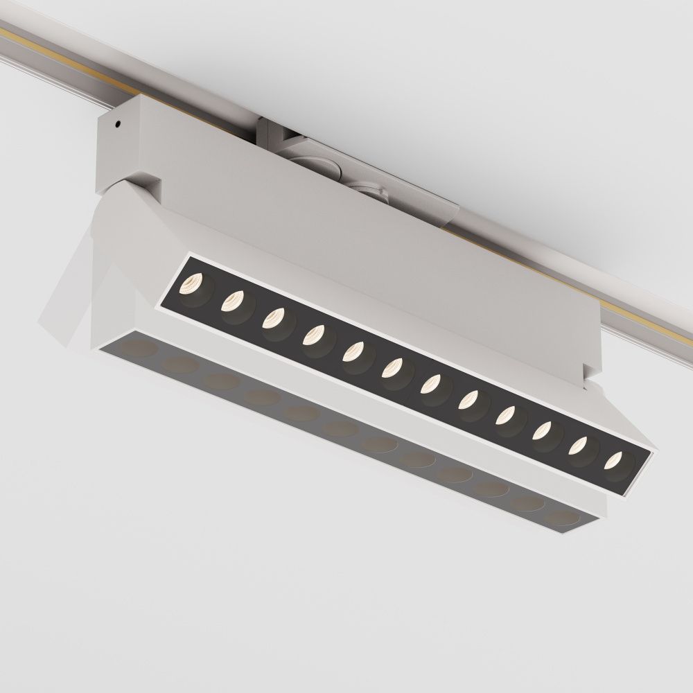 Трековый светильник Maytoni TR224-1-12WCCT-M-W