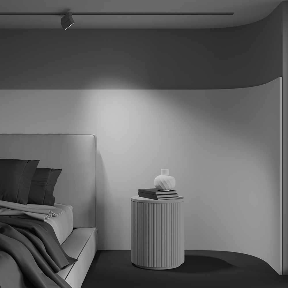 Трековый светильник Maytoni TR224-1-12WCCT-M-W