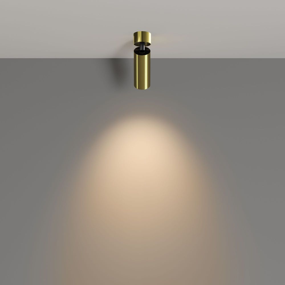 Потолочный светильник Maytoni C055CL-L12W3K-W-BS