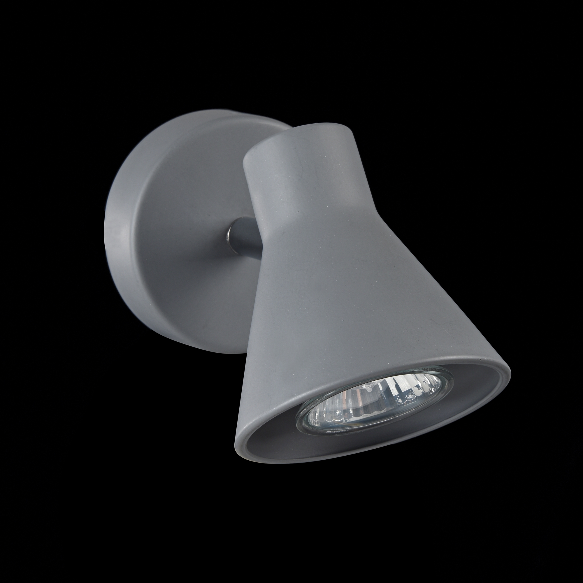 Спот Freya FR4308-WL-01-GR
