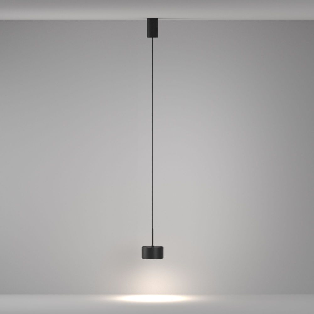 Подвесной светильник Maytoni P102PL-12W4K-B