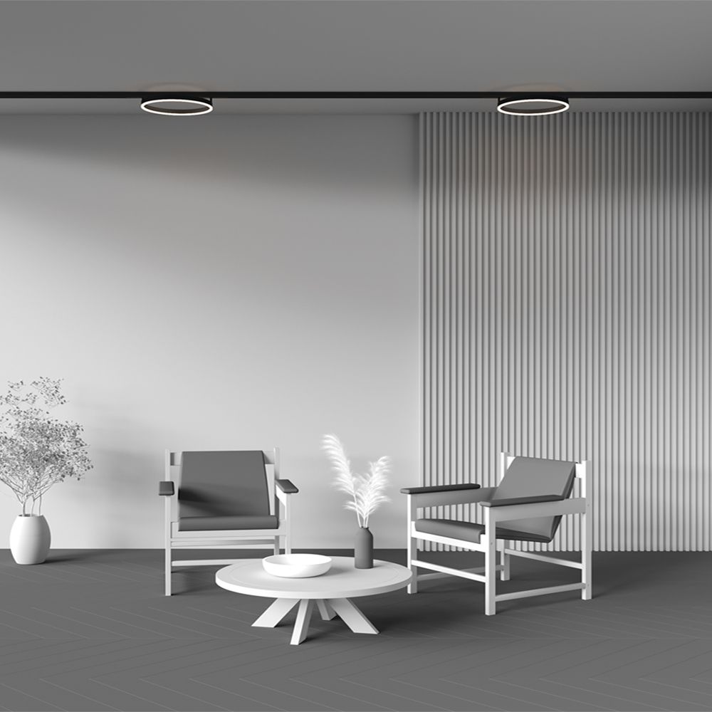 Трековый светильник Maytoni TR227-2-24W3K-B