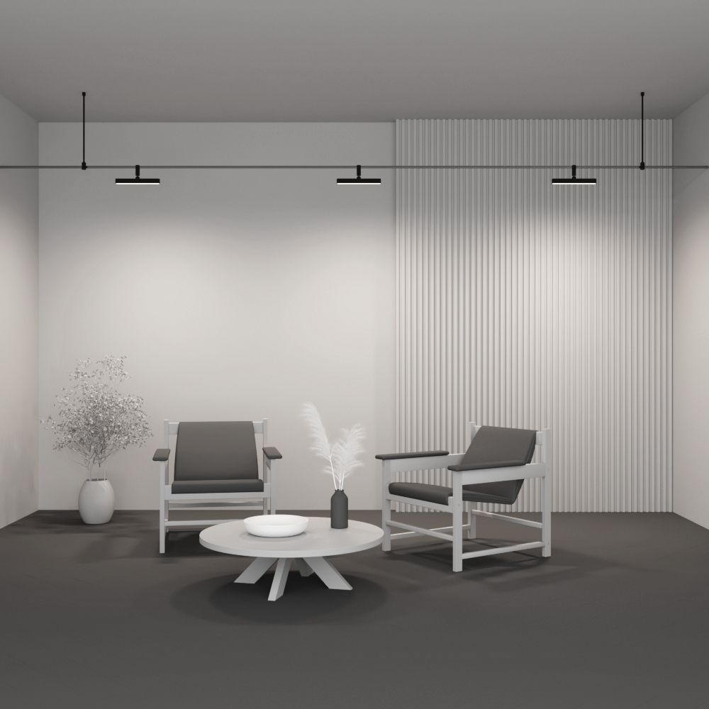 Трековый светильник Maytoni TR202-1-10W3K-B