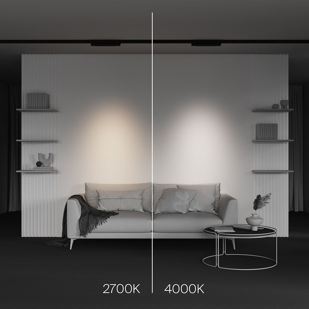 Трековый светильник Maytoni TR195-3-10W4K-M-B