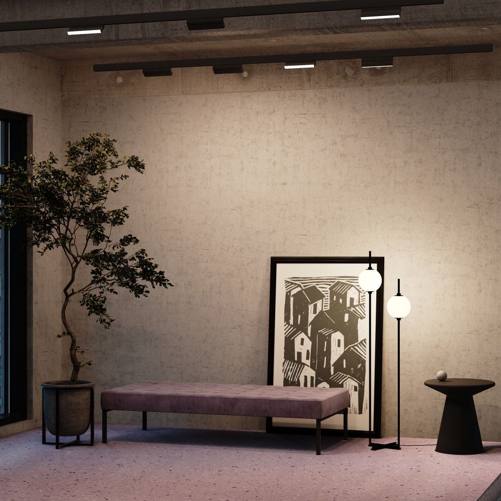 Трековый светильник Maytoni TR036-2-12W3K-B