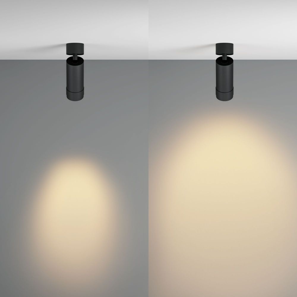 Потолочный светильник Maytoni C055CL-L12W2.7K-Z-B