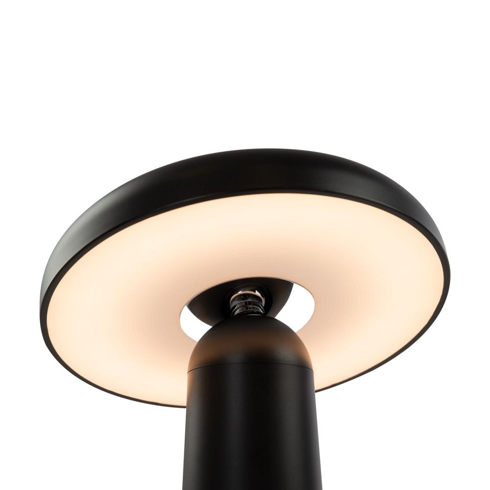 Аккумуляторный светильник Freya FR6109TL-L4B