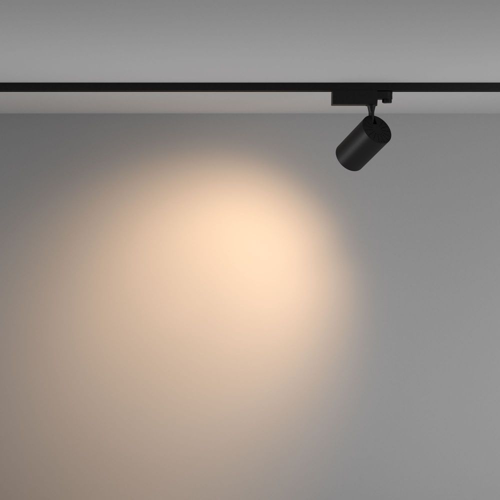 Трековый светильник Maytoni TR029-3-20W3K-W-B