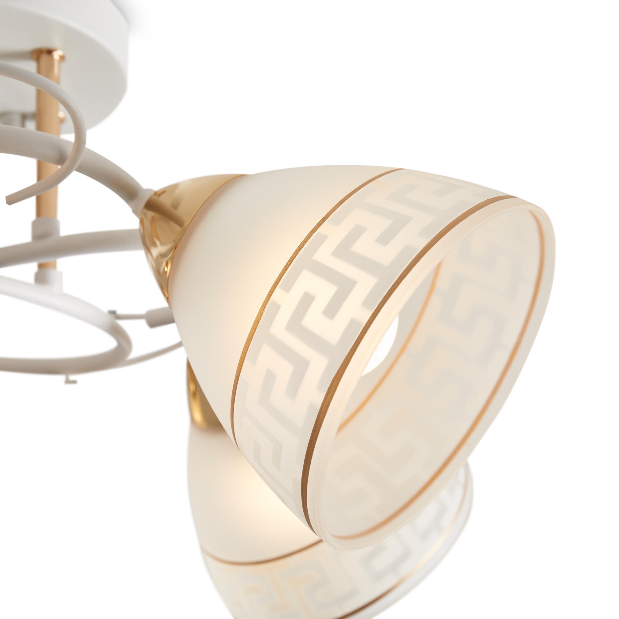 Потолочная люстра Freya FR5465CL-05W