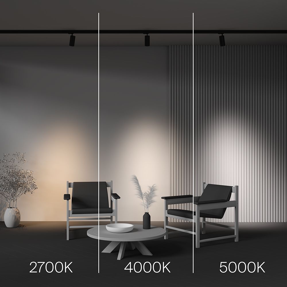 Трековый светильник Maytoni TR197-3-20WCCT-M-B