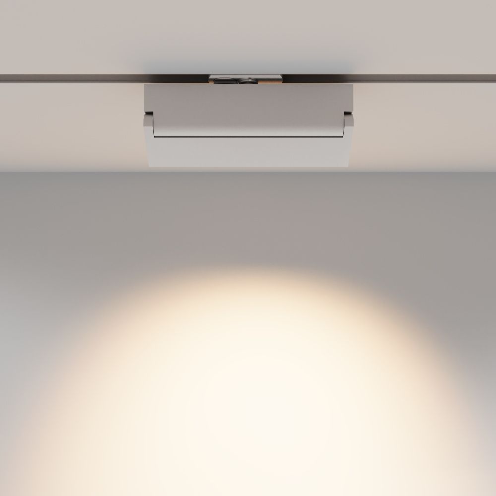 Трековый светильник Maytoni TR224-1-12WCCT-M-W