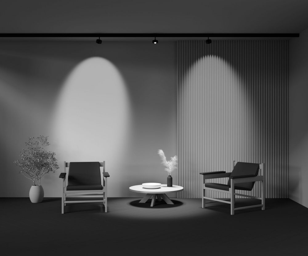 Трековый светильник Maytoni TR217-2-15W3K-B
