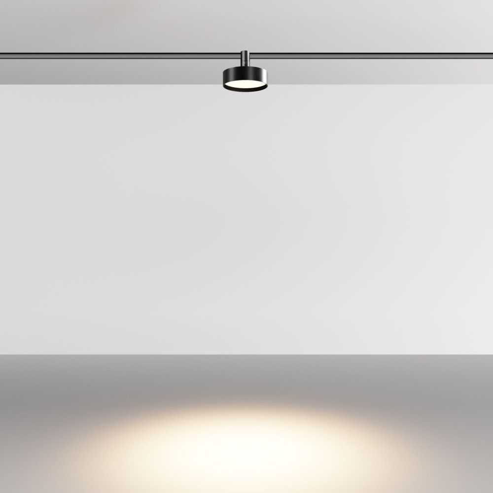 Трековый светильник Maytoni TR204-1-12W3K-B