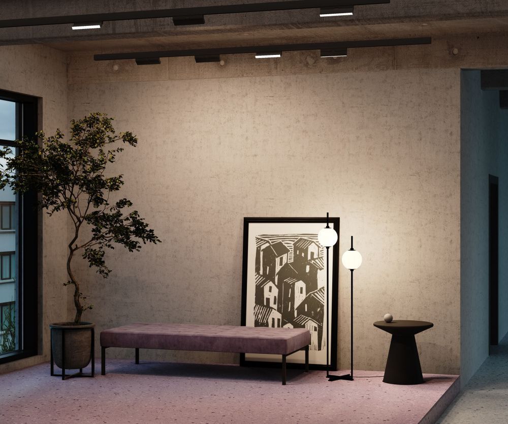 Трековый светильник Maytoni TR036-2-12W3K-B