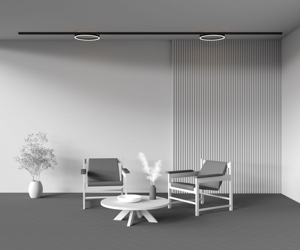 Трековый светильник Maytoni TR227-2-24W3K-B