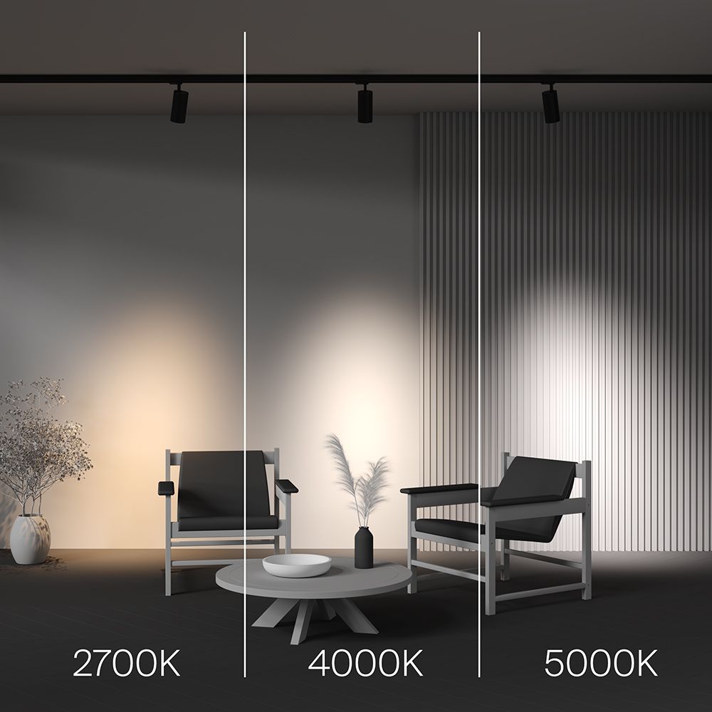 Трековый светильник Maytoni TR197-3-30WCCT-M-B