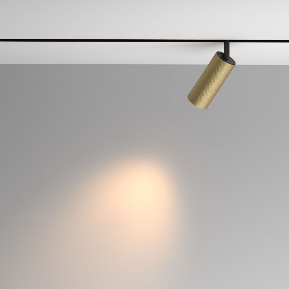 Трековый светильник Maytoni TR097-2-12W3K-M-BMG