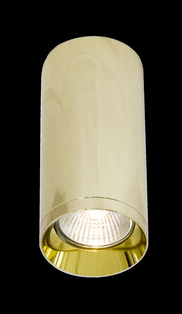 Потолочный светильник Maytoni C010CL-01G