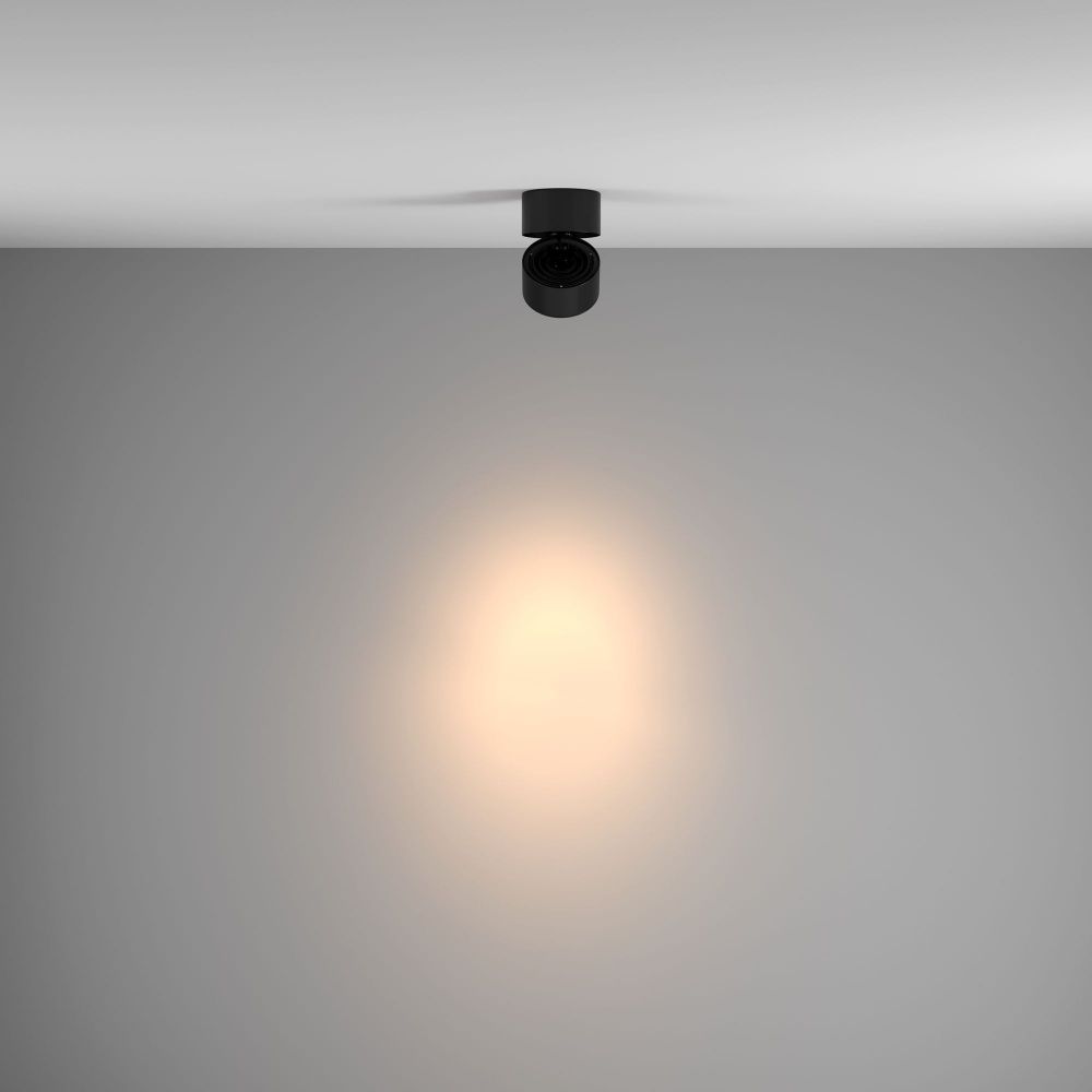 Потолочный светильник Maytoni C084CL-15W3K-B