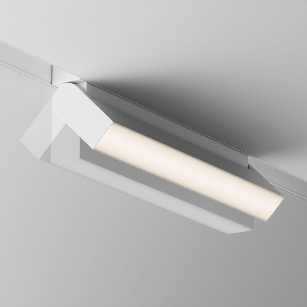 Трековый светильник Maytoni TR075-2-20W3K-W