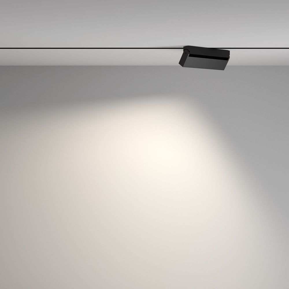 Трековый светильник Maytoni TR077-2-20W4K-B