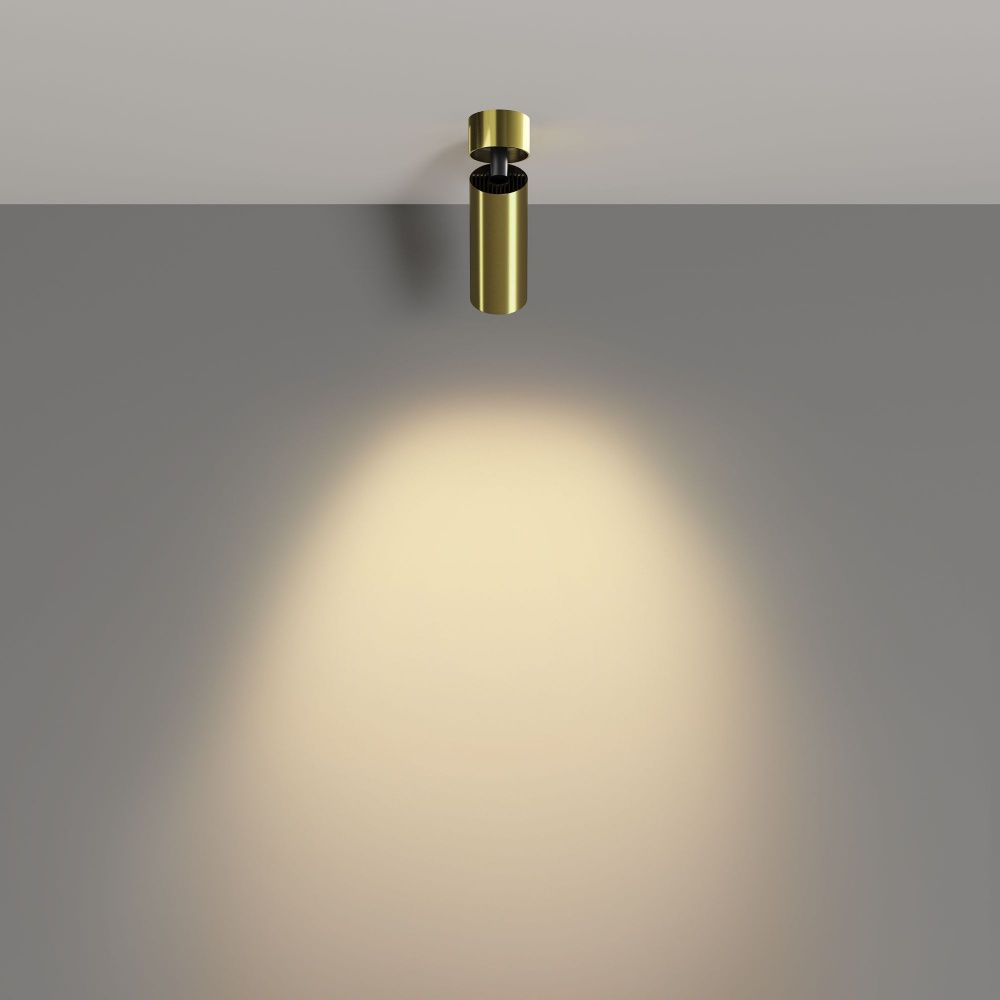 Потолочный светильник Maytoni C055CL-L12W2.7K-W-BS