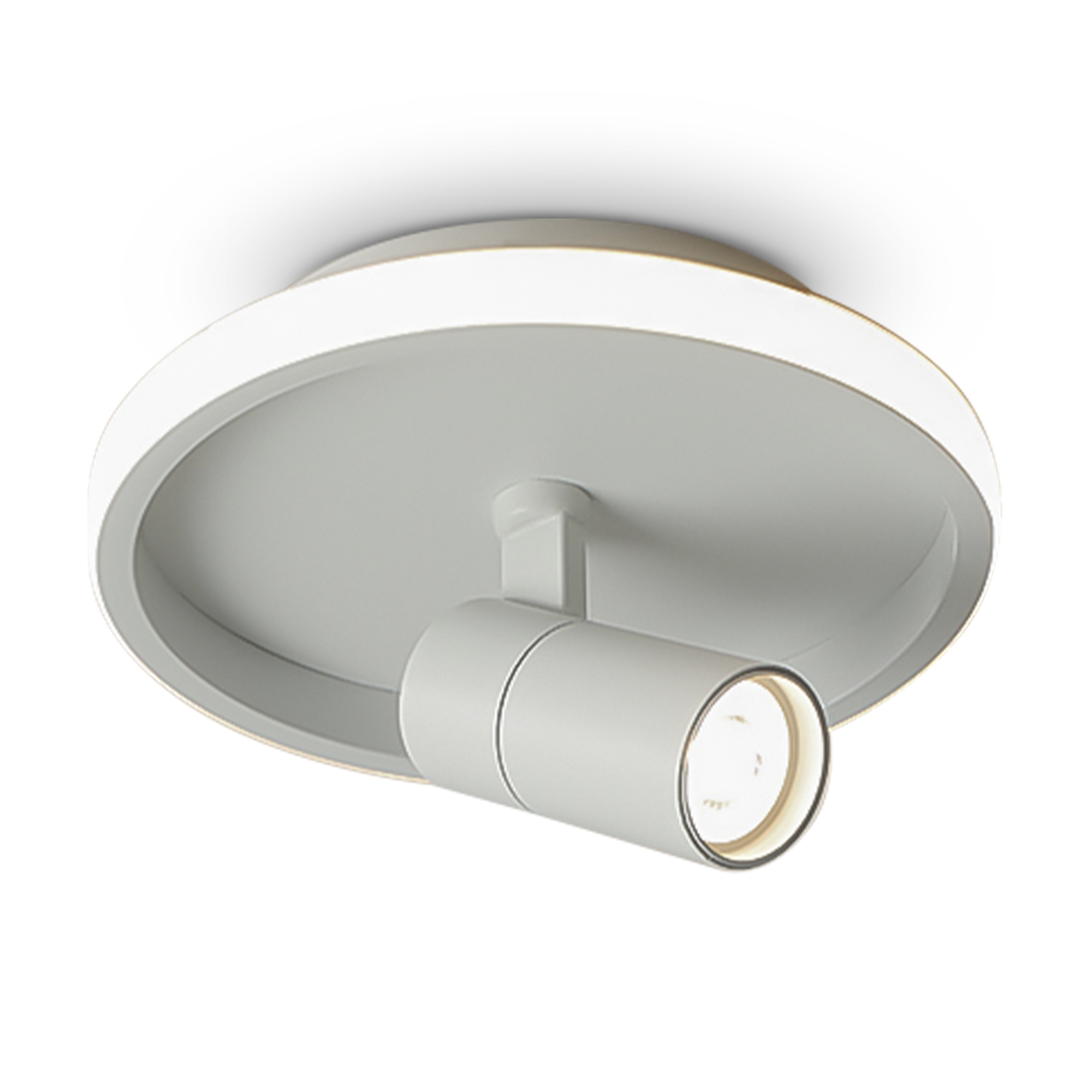 Потолочный светильник Freya FR6040CL-L14W