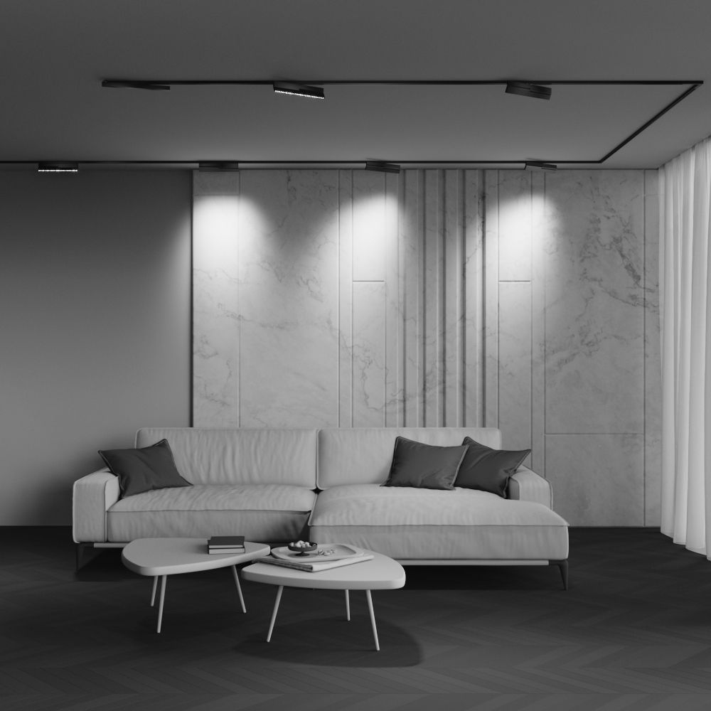 Трековый светильник Maytoni TR242-2-12W3K-B