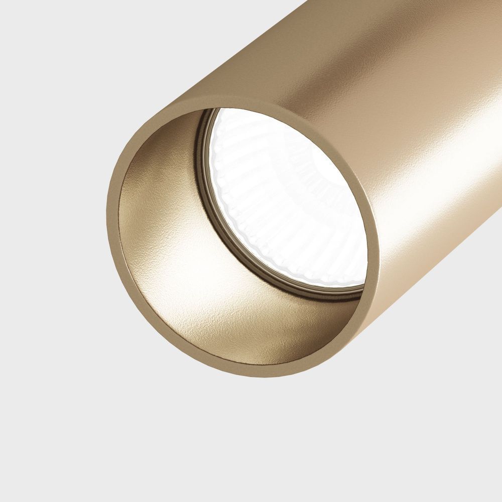 Потолочный светильник Maytoni C020CL-01GB