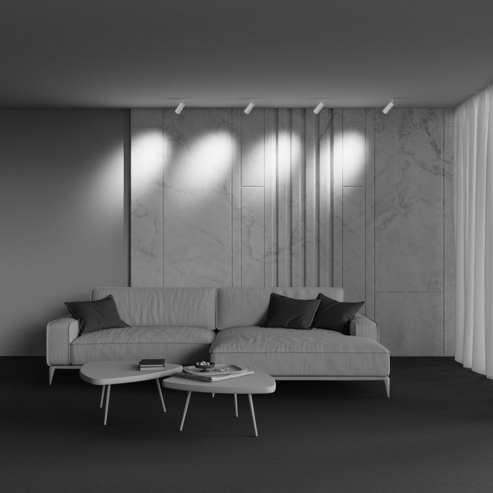Трековый светильник Maytoni TR211-1-12W3K-Z-W
