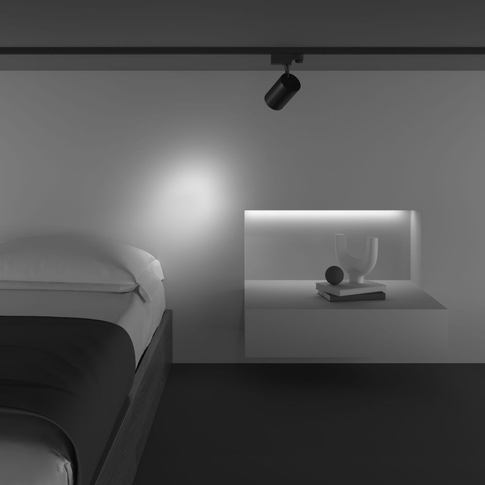 Трековый светильник Maytoni TR029-3-10W4K-S-B