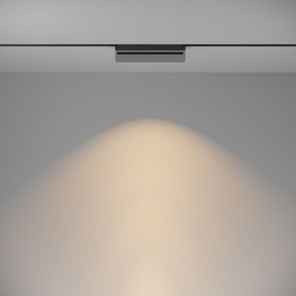 Трековый светильник Maytoni TR075-2-20W3K-B