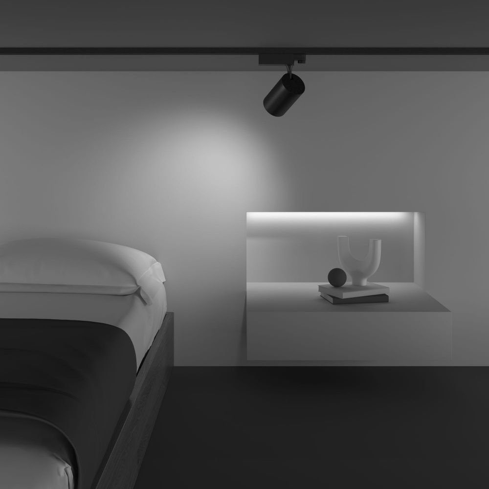 Трековый светильник Maytoni TR029-3-20W3K-W-B