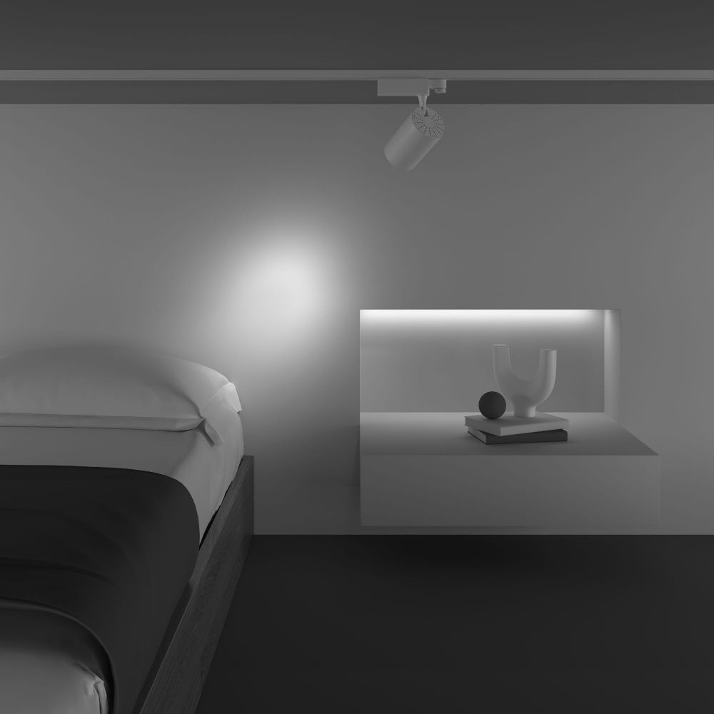Трековый светильник Maytoni TR029-3-26W3K-S-W