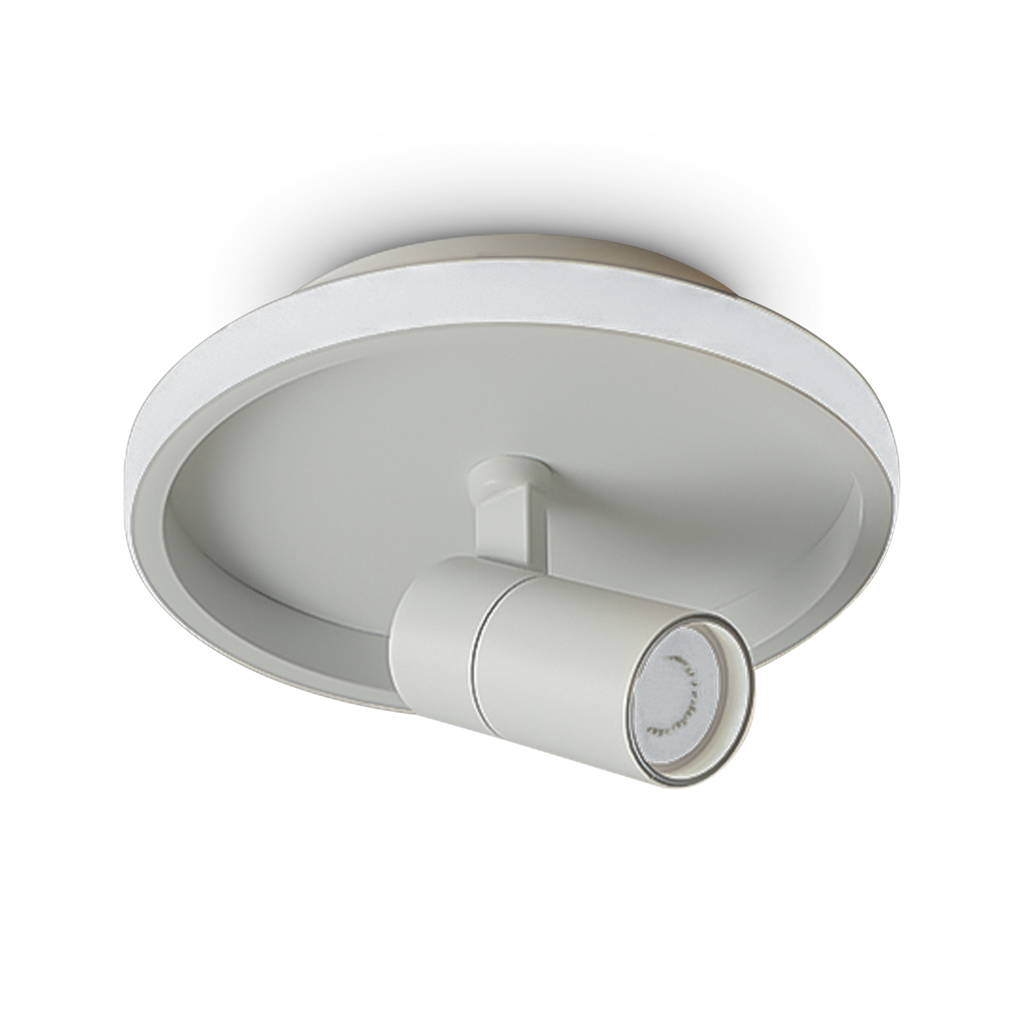 Потолочный светильник Freya FR6040CL-L14W